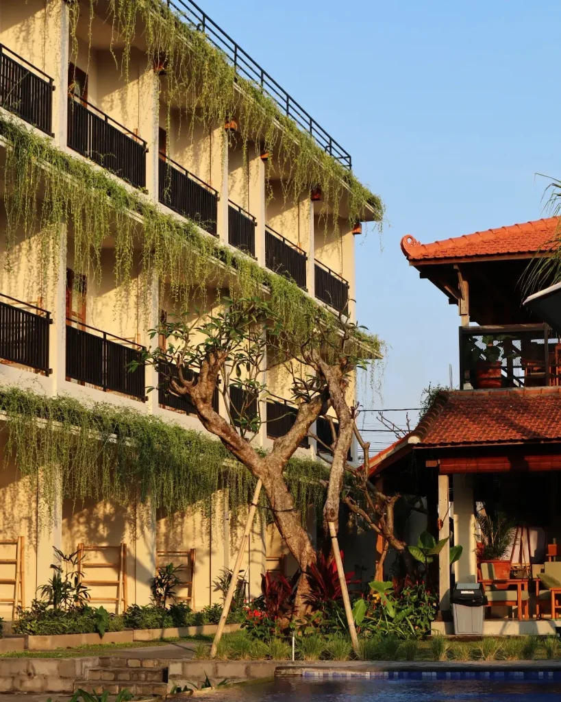Balconies draped in hanging vines in the evening light