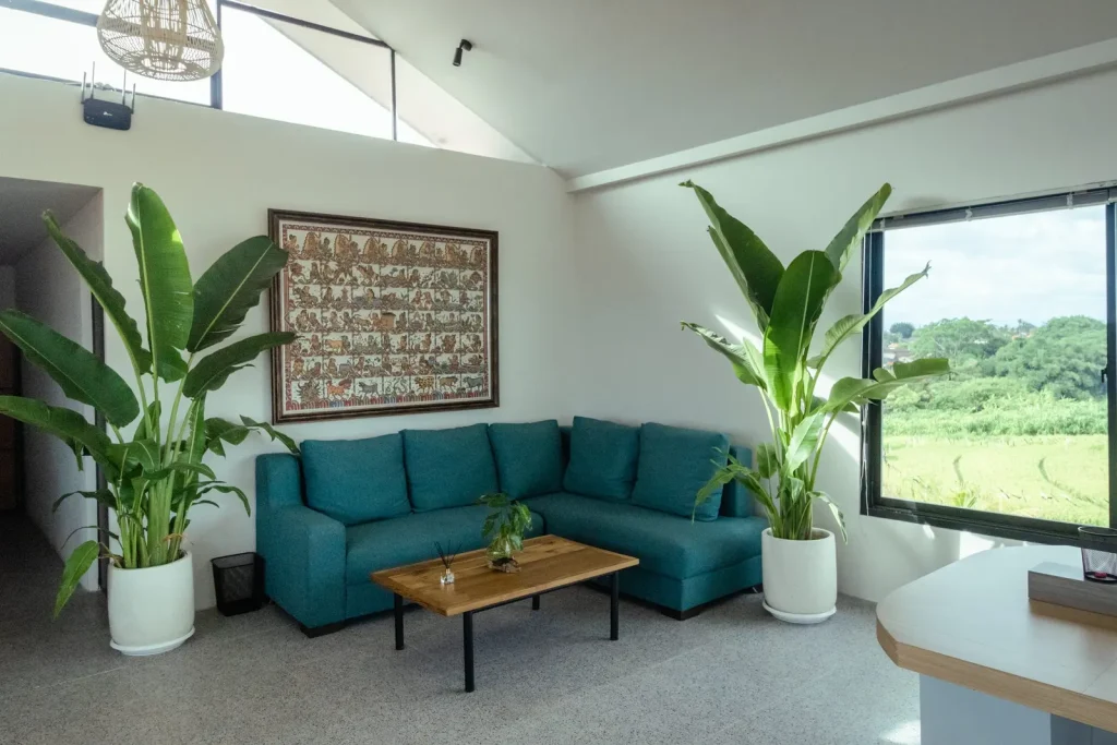 The lounge: a teal sofa, tropical plants and a window onto the rice fields
